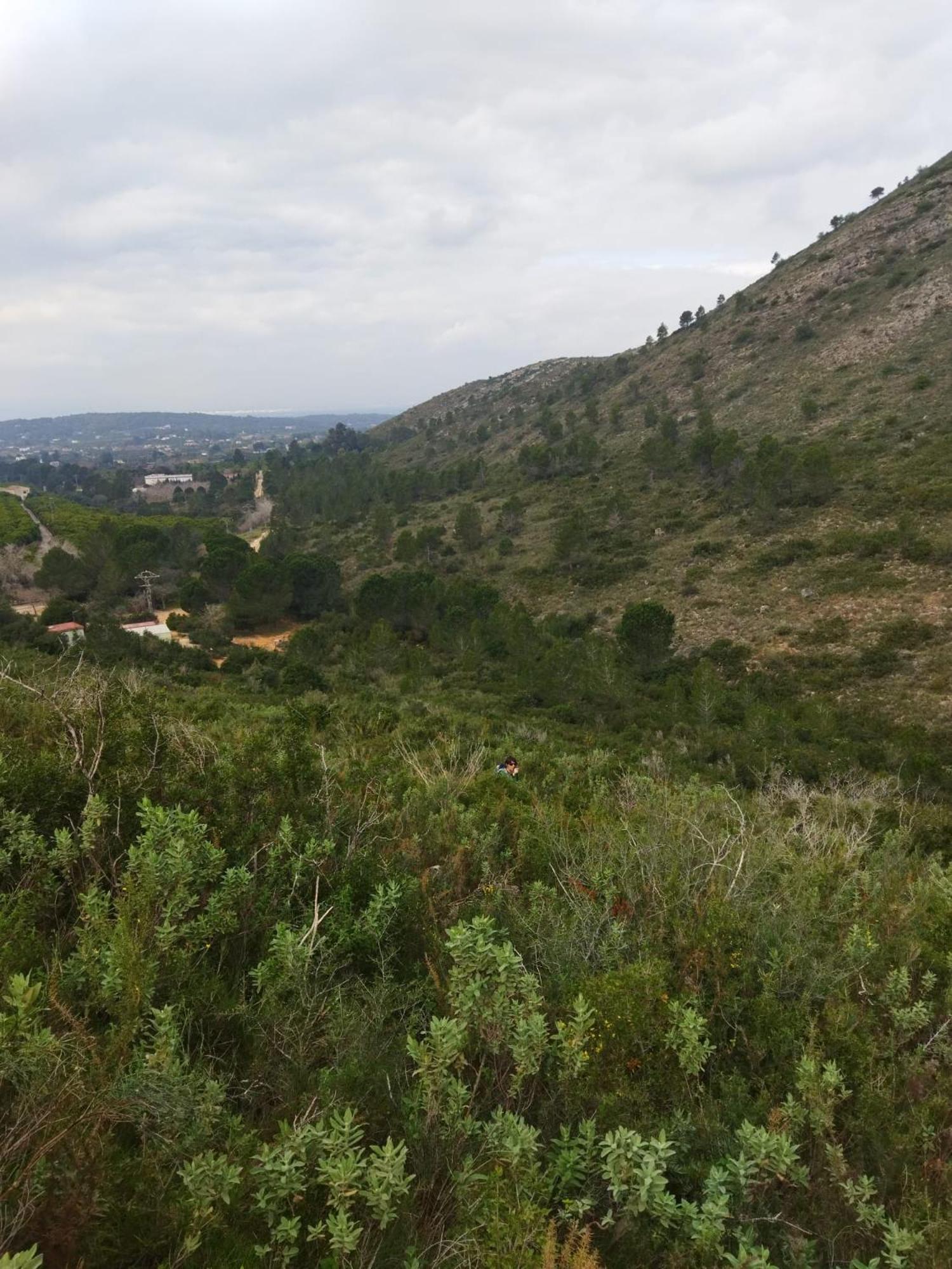 Casa Bienvenida - Carcaixent Bed & Breakfast Dış mekan fotoğraf