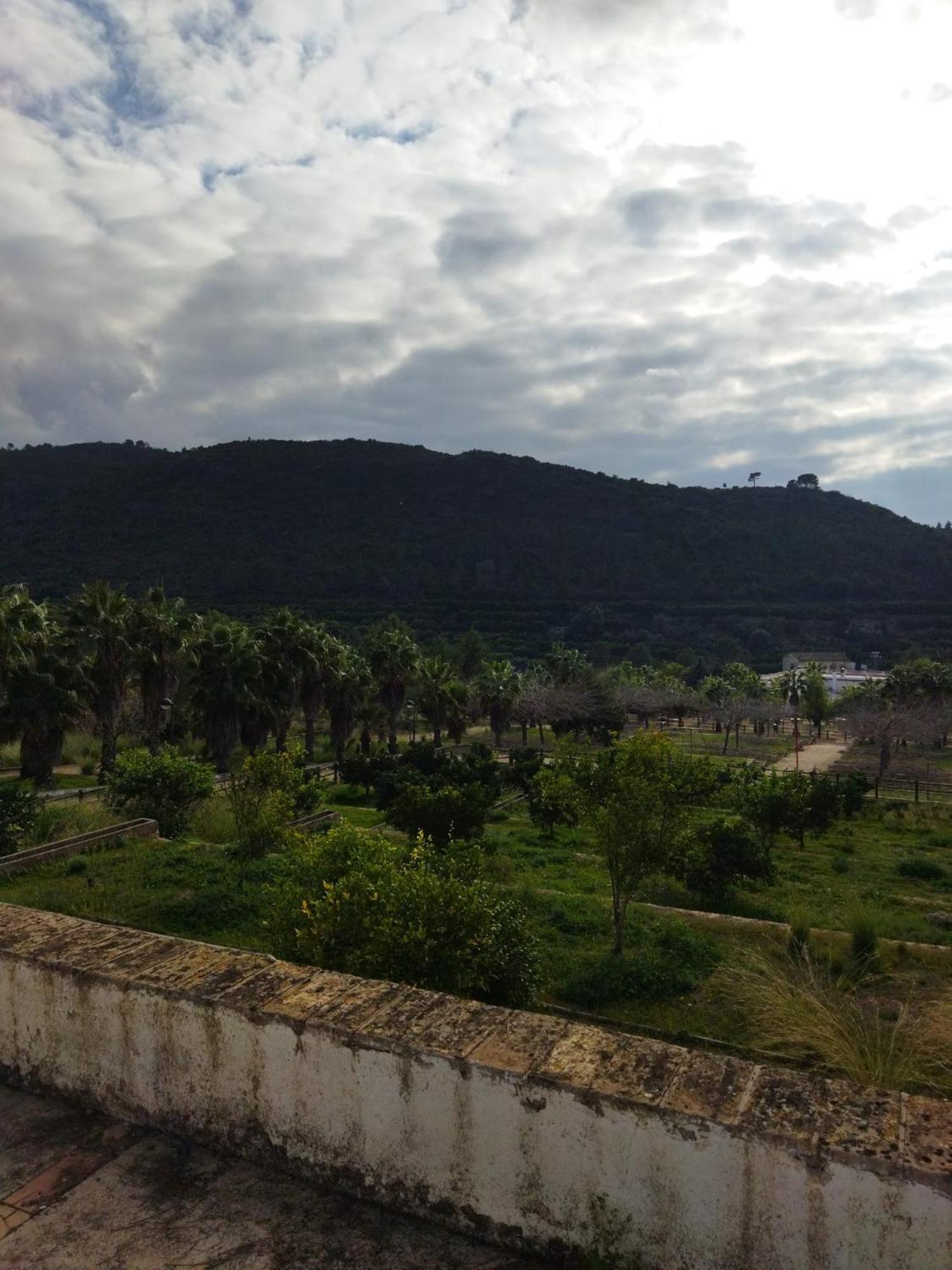 Casa Bienvenida - Carcaixent Bed & Breakfast Dış mekan fotoğraf