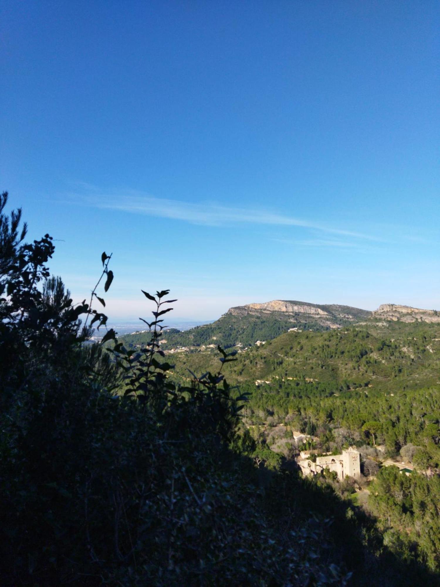Casa Bienvenida - Carcaixent Bed & Breakfast Dış mekan fotoğraf