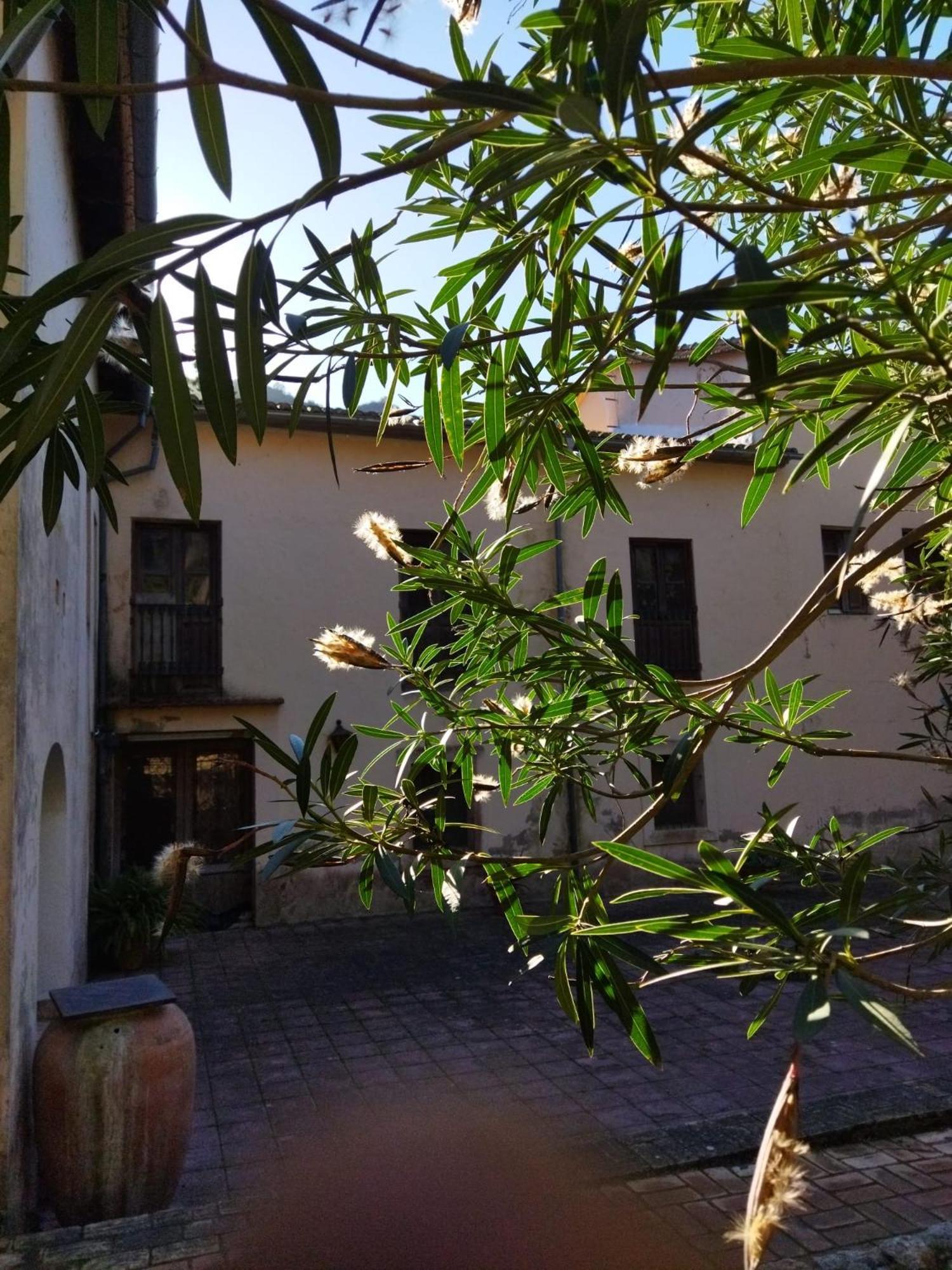 Casa Bienvenida - Carcaixent Bed & Breakfast Dış mekan fotoğraf