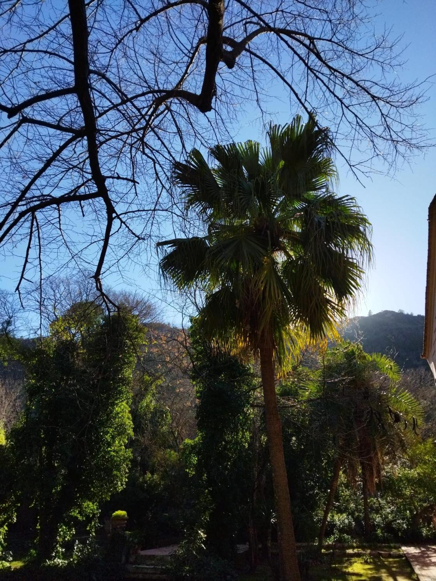 Casa Bienvenida - Carcaixent Bed & Breakfast Dış mekan fotoğraf